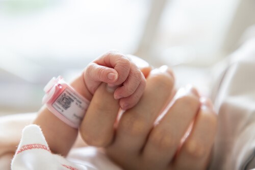 premature baby holding an adults hand